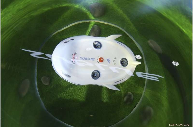 CES 2020: Pizza‑Making Robots & Innovative Underwater Scooters Take Center Stage