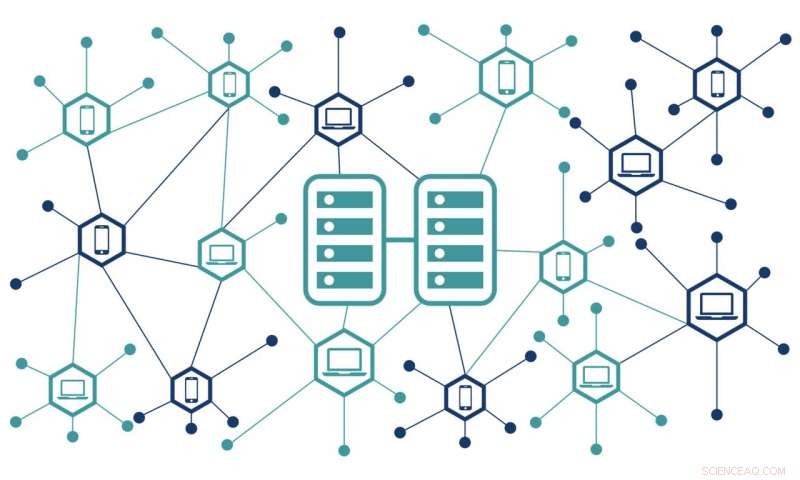 Blockchain Traces Agricultural Supply Chains for Transparency