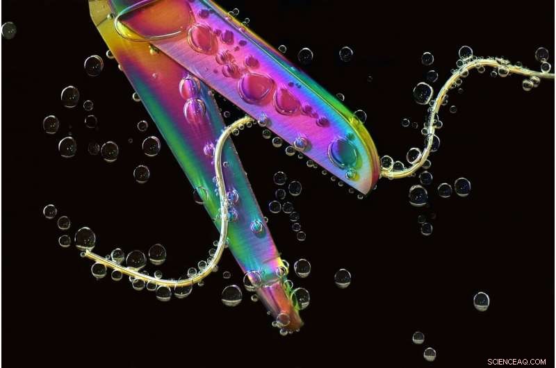 Cutting the Cord: Save Money on Streaming Even as Prices Rise