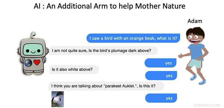 How Human Creativity Inspires AI to Envision the Unseen