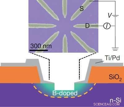 Neuromorphic Network Leverages Disorder to Detect Orderly Patterns
