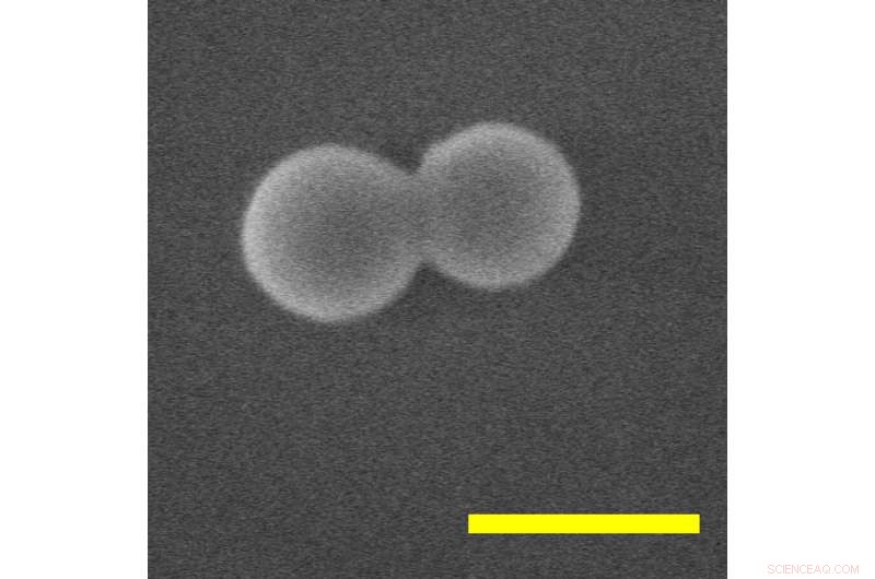 Purdue’s Laser-Driven Nanoparticle Spins at a Record 300 Billion RPM