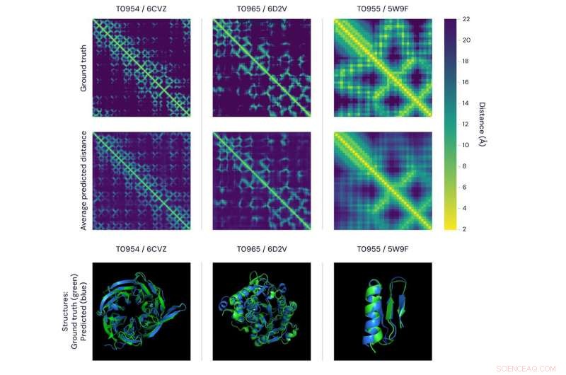 AlphaFold Revolutionizes Protein Structure Prediction