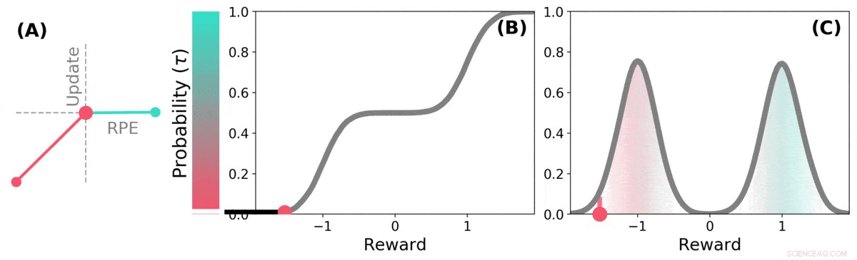 AI Reinforcement Learning Technique Sheds Light on Brain Reward Pathways