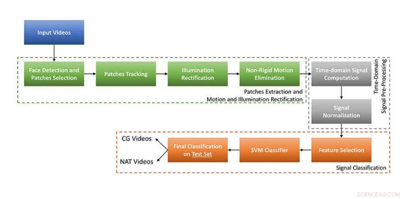 Heartbeats Reveal Real Faces: New Study Shows How Pulse Signals Differentiate Human and AI-Generated Portraits