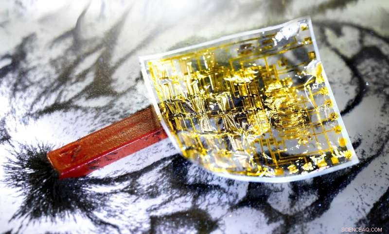 Pioneering Fully Integrated Flexible Electronics Combining Magnetic Sensors with Organic Circuits