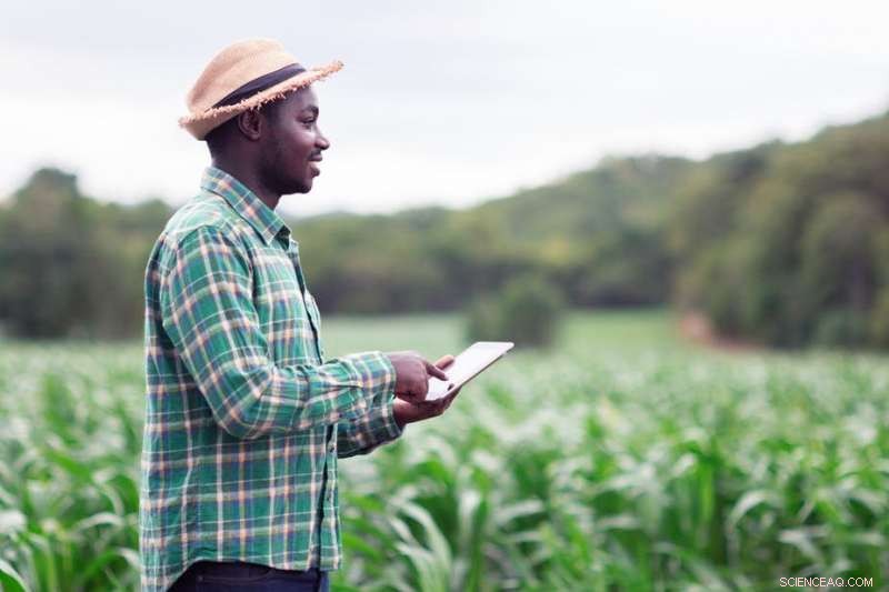 Capitalism Meets the Internet: Why Grasping the Digital Economy Matters