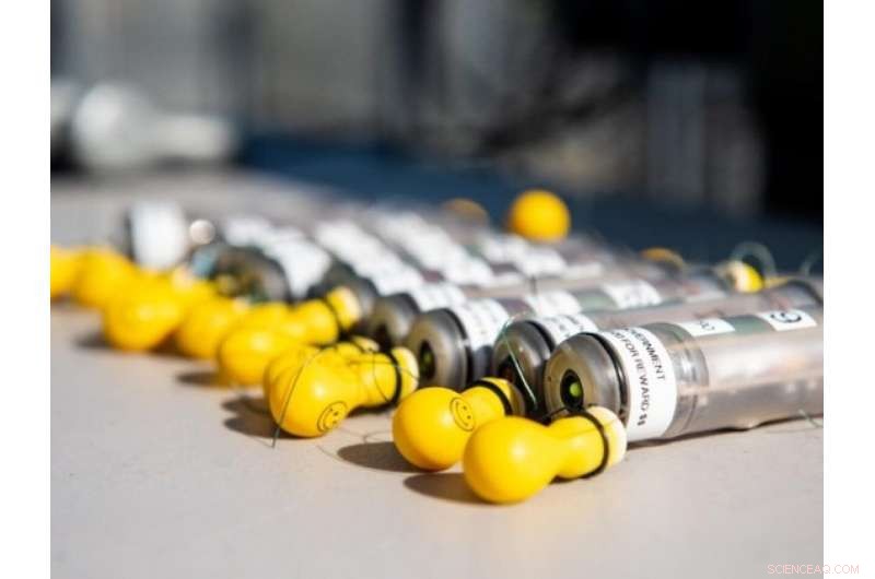 Sensor Fish Accelerates Turbine Testing at Ice Harbor Dam