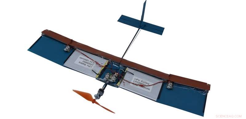 New Bio‑Inspired Wing Design Enhances Small Drone Performance