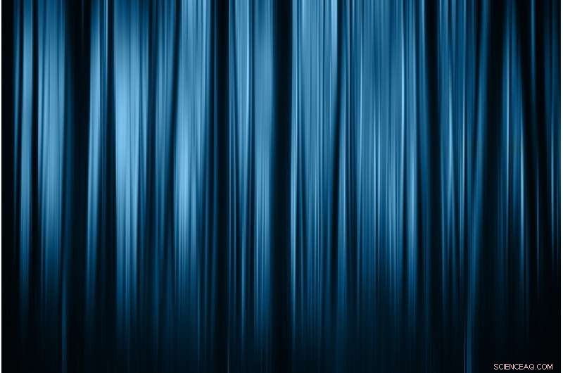 Innovative Team Unveils Reversible 4‑D Printing Technology