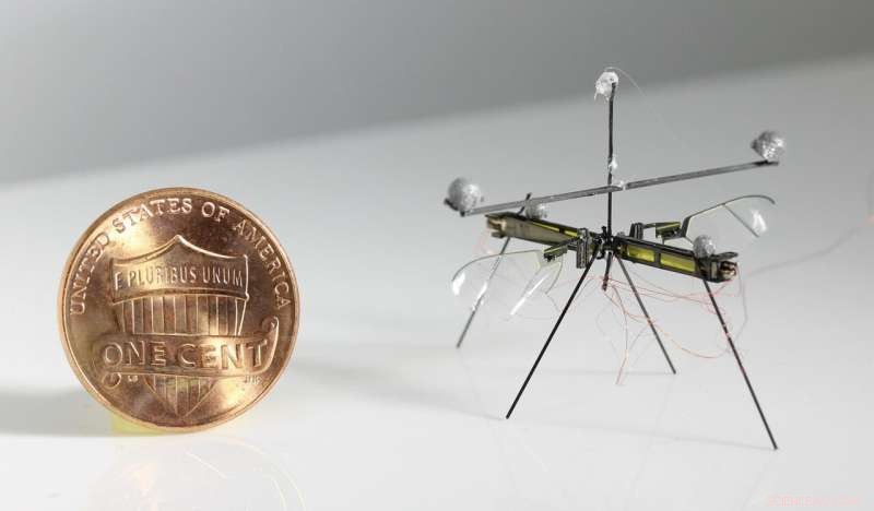 RoboFly: A Miniature Insect‑Sized Robot Capable of Flying, Walking, and Water‑Surface Navigation