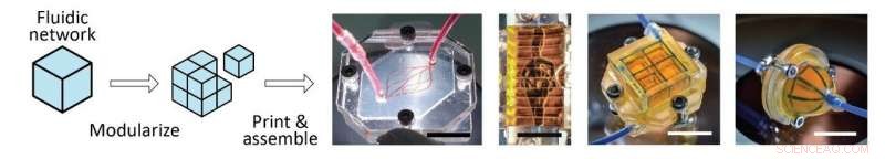 Revolutionary 3‑D Printing Technique Delivers Ultra‑Fine, Complex Microfluidic Networks