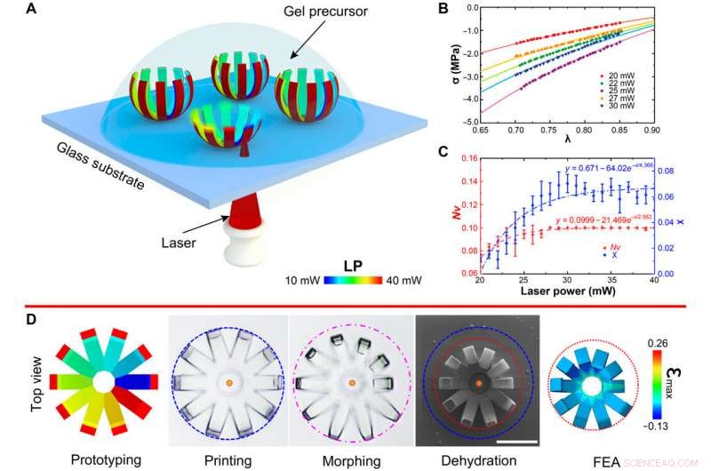 Four-Dimensional Micro-Constructs: Printable, Time-Responsive, Programmable Tools