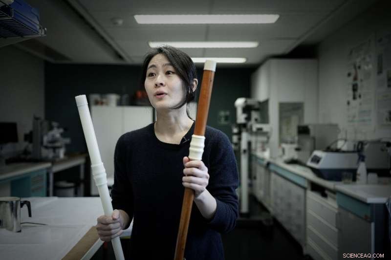 Recreating Musical Heritage with 3‑D Printed Instruments