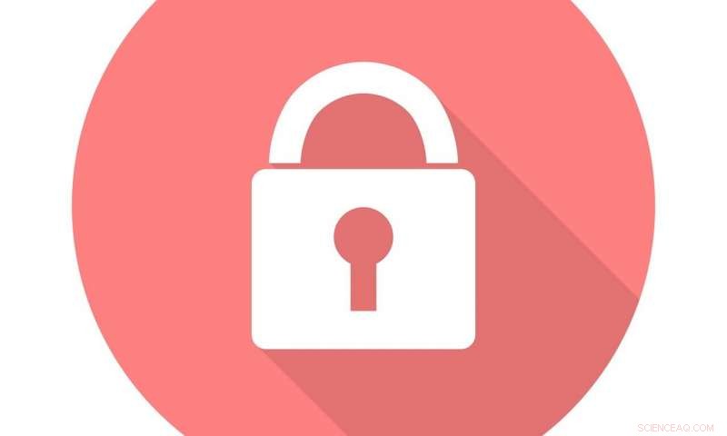 OpenSK Research Platform Celebrated as Catalyst for Security Key Adoption