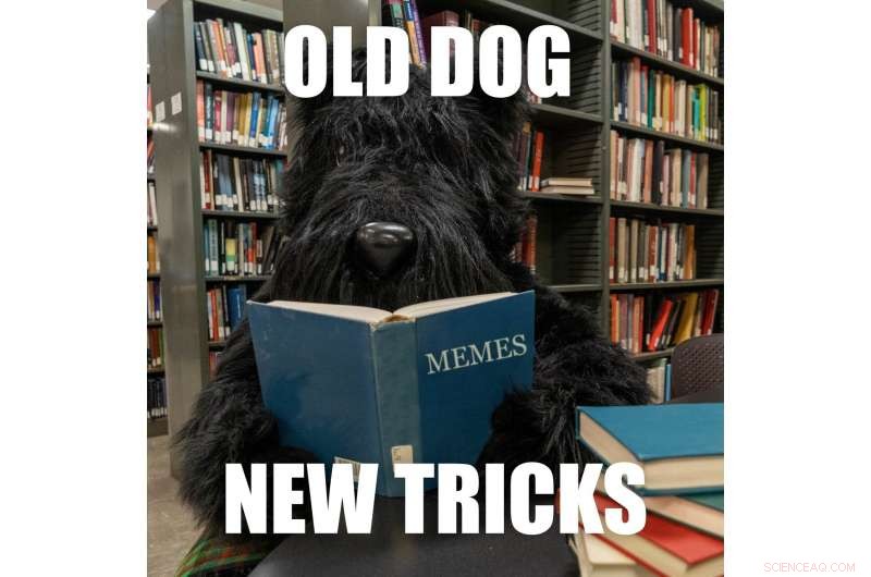 Transforming Memes into Auditory Experiences for Visually Impaired Users