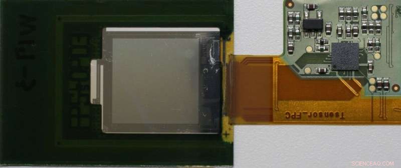 Flexible Skin‑Contact Sensor for Secure Biometric Authentication & Real‑Time Vital Sign Monitoring