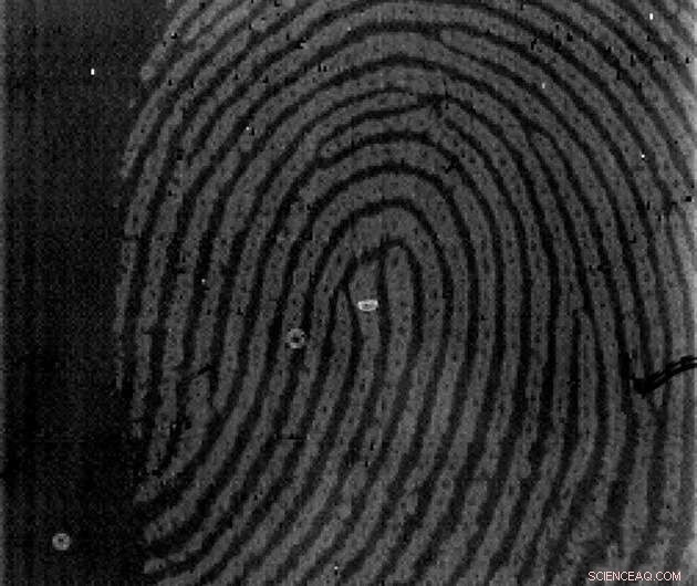 Flexible Skin‑Contact Sensor for Secure Biometric Authentication & Real‑Time Vital Sign Monitoring