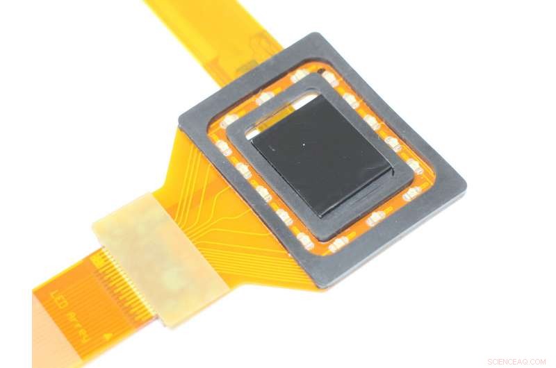 Flexible Skin‑Contact Sensor for Secure Biometric Authentication & Real‑Time Vital Sign Monitoring