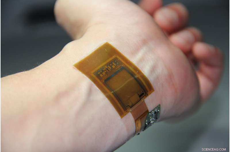 Flexible Skin‑Contact Sensor for Secure Biometric Authentication & Real‑Time Vital Sign Monitoring