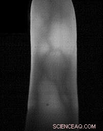 Flexible Skin‑Contact Sensor for Secure Biometric Authentication & Real‑Time Vital Sign Monitoring