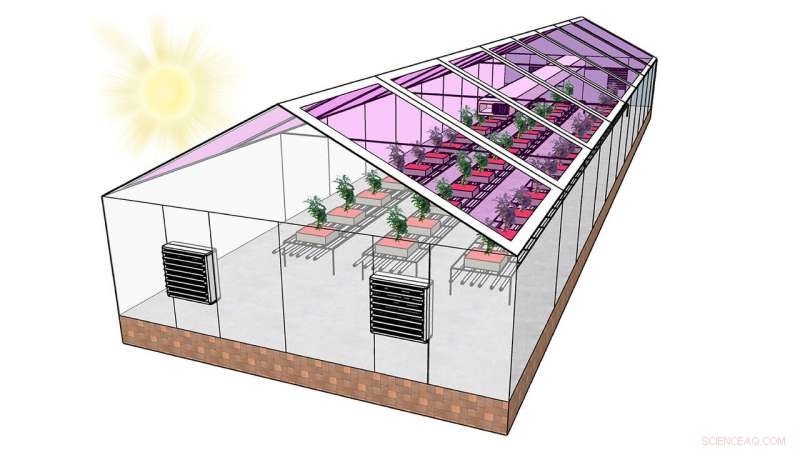 Revolutionizing Agriculture: Fully Solar-Powered Greenhouses for Energy Neutrality