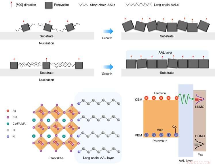 22.3% Efficient Inverted Perovskite Solar Cells: A Breakthrough in Photovoltaic Technology