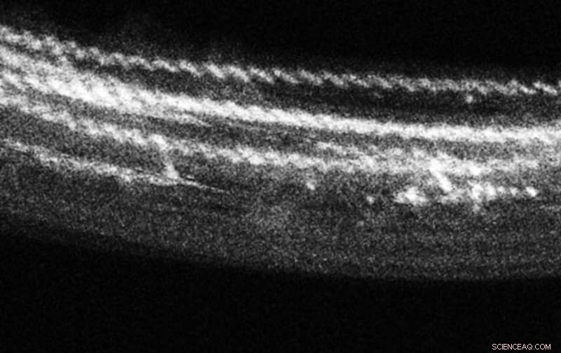 DNA-like Material Promises Even Smaller Transistors