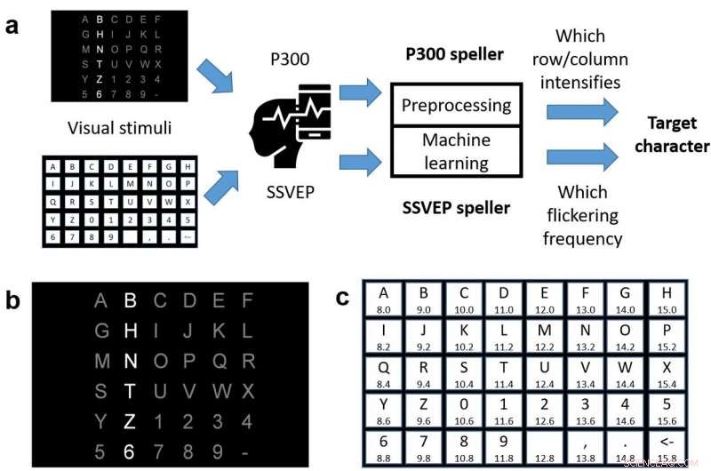 New Research Reveals Security Risks in EEG-Driven Brain‑Computer Interfaces