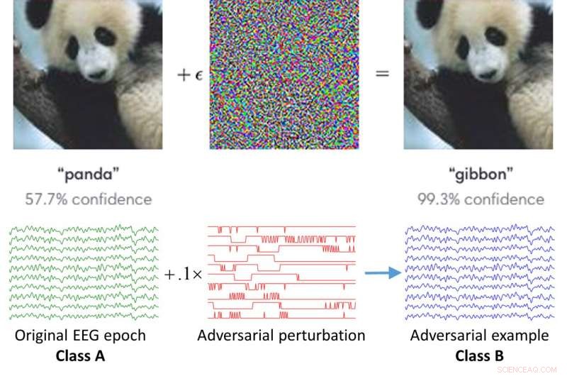 New Research Reveals Security Risks in EEG-Driven Brain‑Computer Interfaces