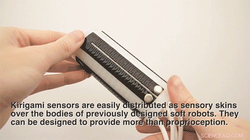 Advanced Sensorized Skin Enhances Soft Robots  Spatial Awareness