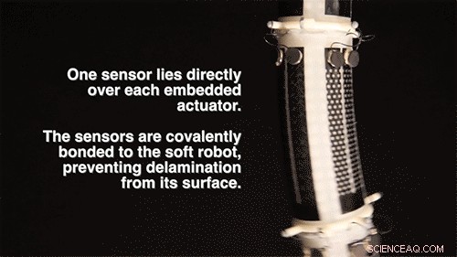 Advanced Sensorized Skin Enhances Soft Robots  Spatial Awareness