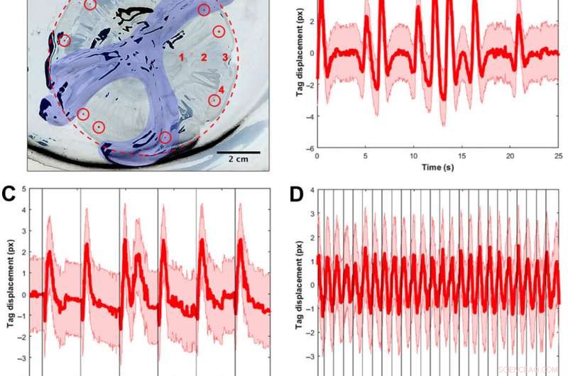 Microelectronics Embedded in Live Jellyfish Significantly Enhance Propulsion