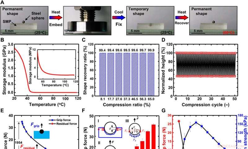 Shape Memory Polymers for Advanced Robot Grippers: Design, Characterization, and Performance