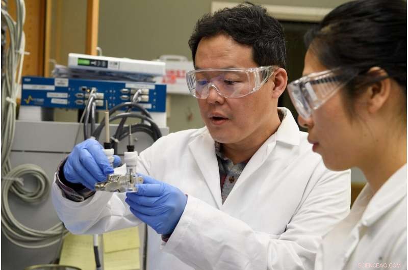 WSU Breakthrough: Safer Lithium Metal Batteries