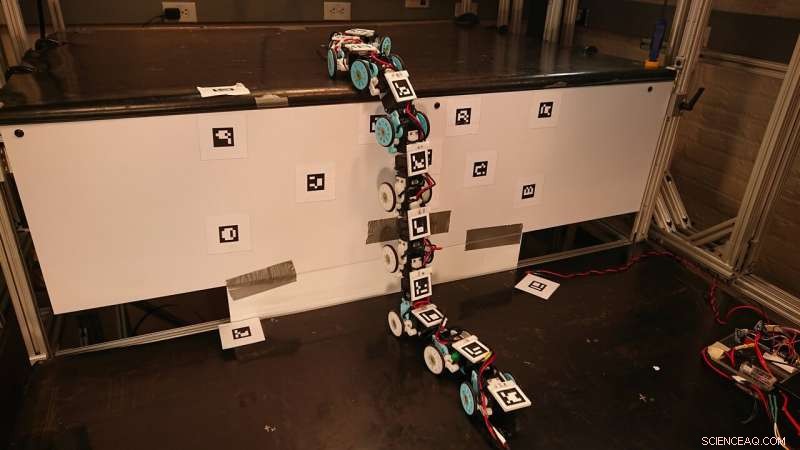 How Snakes Inspire Engineers to Build Advanced Search‑and‑Rescue Robots