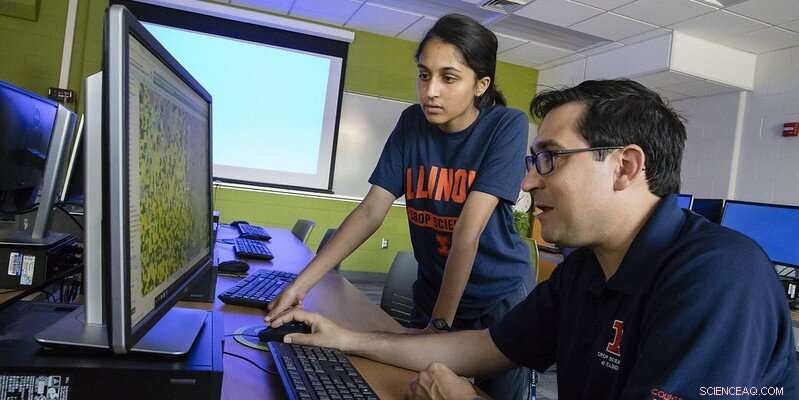 Advanced AI Algorithm Enhances Accuracy of Corn Yield Forecasts