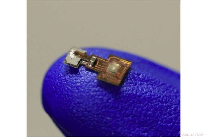 Magnet-Activated Bioelectronic Implant Shows Promise in Pain Relief