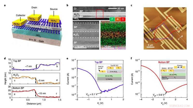 Innovative Transverse Tunneling Field-Effect Transistor Developed by Chinese Academy of Sciences