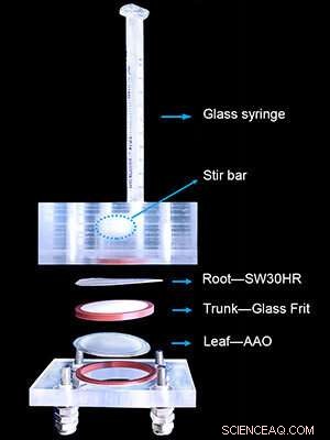 New Device Mimics Mangrove s Natural Saline-to-Freshwater Technology