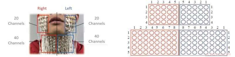 High‑Density sEMG Technique Boosts Automatic Speech Recognition Accuracy