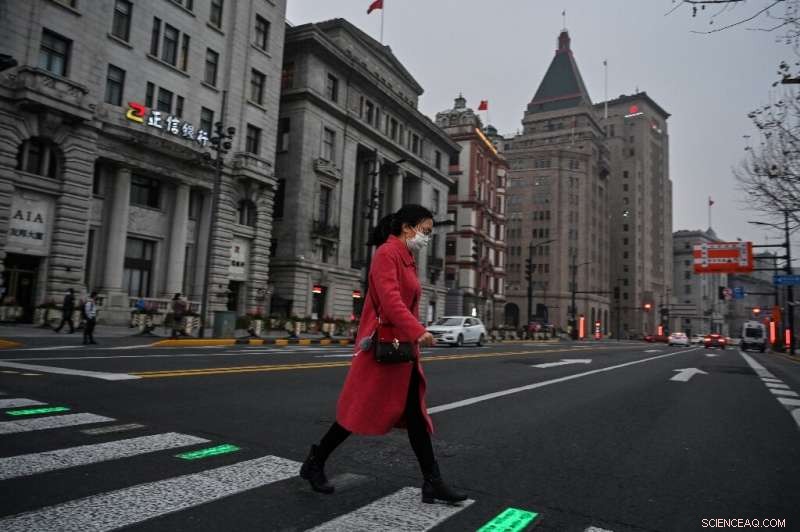 Foreign Companies in China Predict Revenue Decline Amid Virus Impact