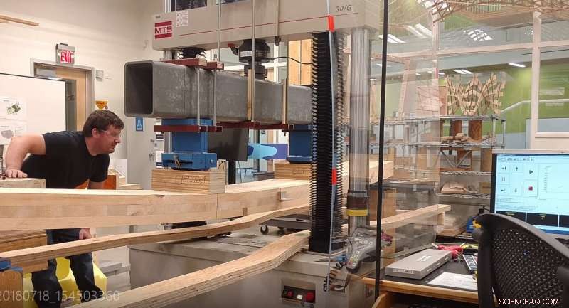 Eco‑Friendly Construction: Two Native Northeast Tree Species Create Sustainable Building Material