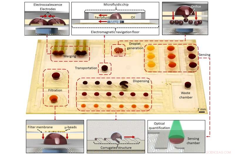 UCLA Engineers Pioneer Miniature Warehouse Robots to Accelerate Biotechnology Diagnostics