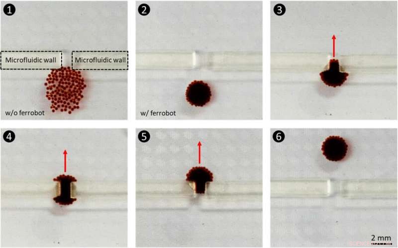 UCLA Engineers Pioneer Miniature Warehouse Robots to Accelerate Biotechnology Diagnostics