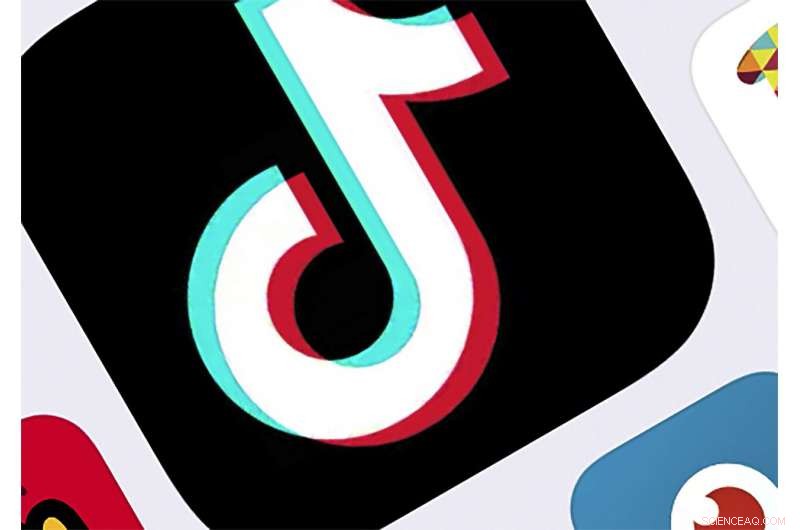 TikTok s Popularity Among Teens: Passion or Excess?