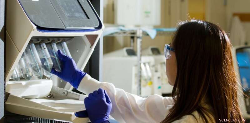 Genealogy Kit Sales Drop as Consumers Raise Data Privacy Concerns