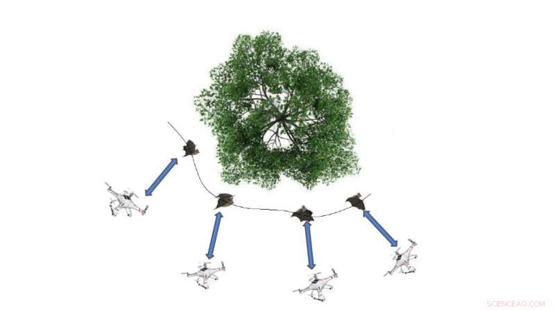 Simulating Bat-Inspired Flight: A Framework for Quad‑Rotor UAVs