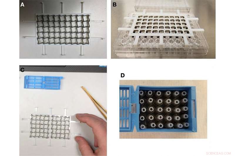 Revolutionizing Drug Discovery: Collapsible Basket Arrays Enhance 3D Organoid Analysis