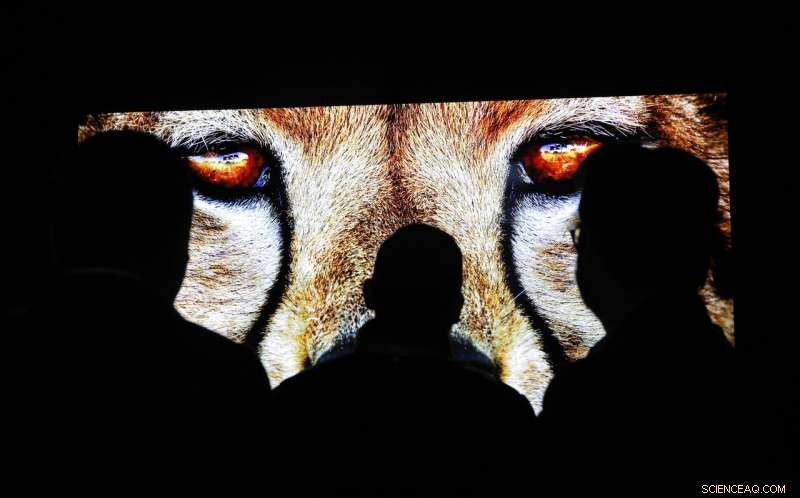 Senators Probe Clearview AI s Web Scraping Practices and Privacy Risks